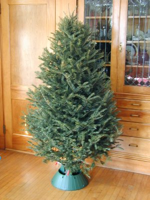 Family Tree