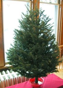 Table Top Christmas Tree 